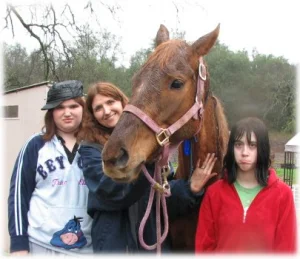 horse shelter