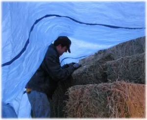 horse shelter