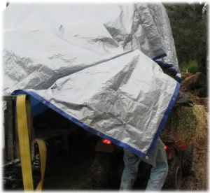 horse shelter
