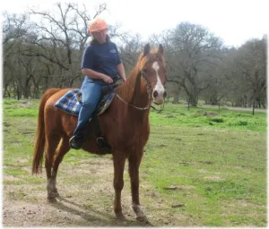 horse shelter