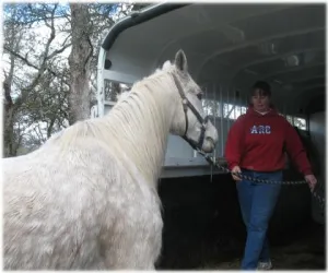 horse shelter