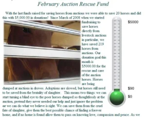 horse rescue