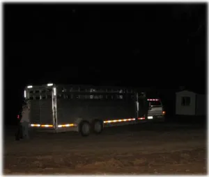 horse shelter
