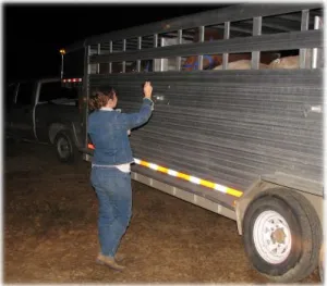 horse shelter
