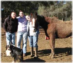 horse shelter