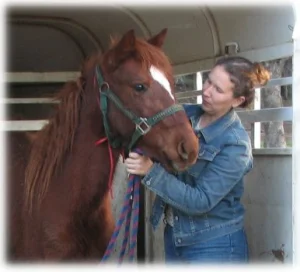 horse rescue