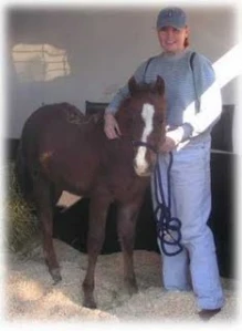 horse shelter