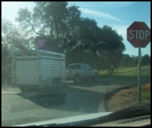 horse shelter