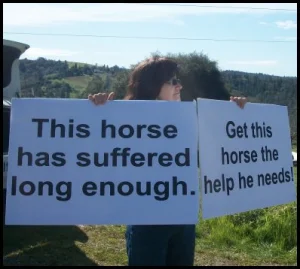 horse shelter