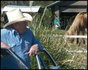 horse shelter