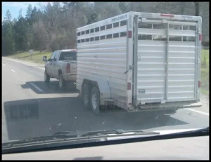 horse shelter