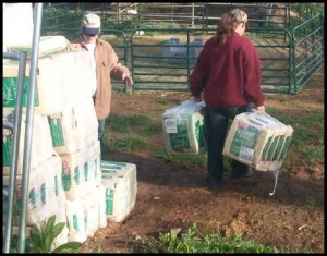 horse shelter