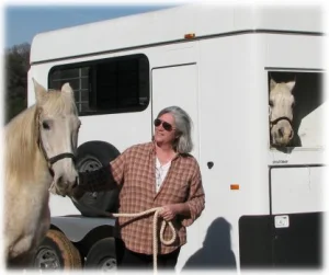 horse rescue