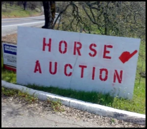 horse shelter