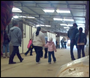 horse shelter