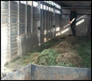 horse shelter