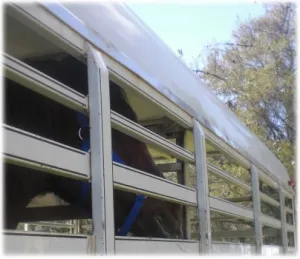 horse shelter