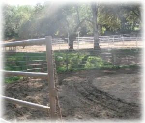 horse shelter