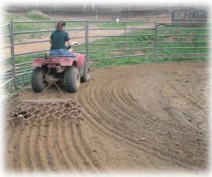 horse shelter