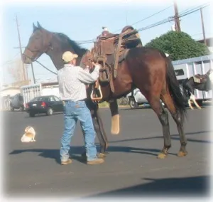 horse shelter