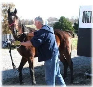 horse shelter