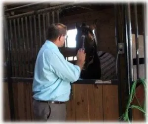 horse shelter