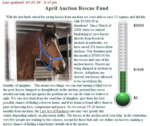 horse shelterhorse shelter