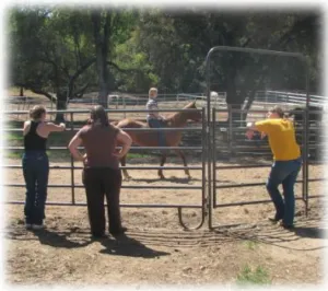 horse shelter