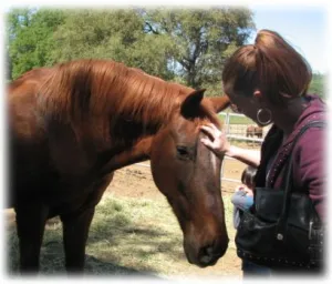 horse shelter
