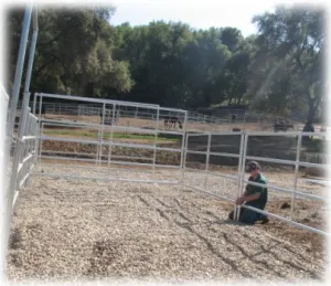 horse shelter