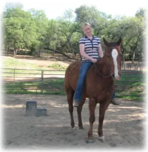 horse shelter