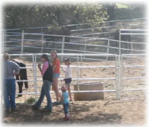 horse shelter