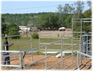 horse shelter