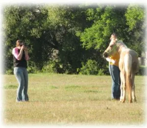 horse shelter