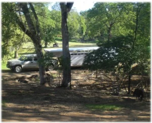 horse shelter