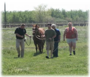 horse shelter