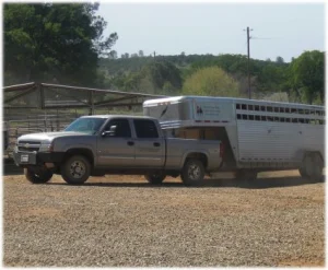 horse shelter