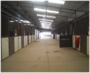 horse shelter