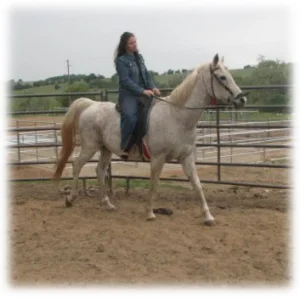 horse shelter