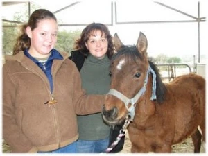 horse rescue
