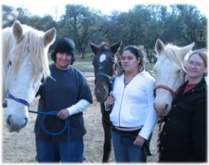 horse rescue