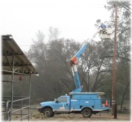 horse rescue