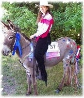 horse rescue