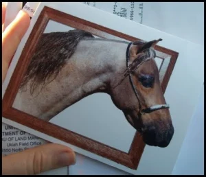 horse shelter