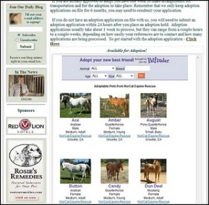 horse shelter