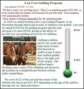 horse rescue