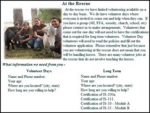 horse rescue