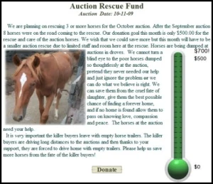 horse rescue