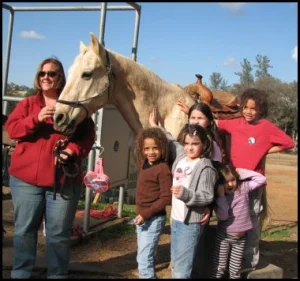 horse rescue