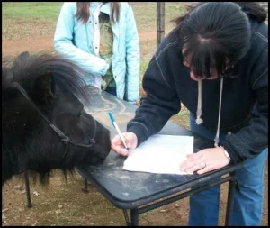 horse shelter